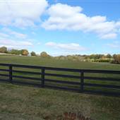 Fields on Cedar Hills Rd.