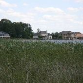 Lakefront Houses - Palisades