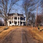 Acorn Acres