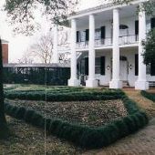Rosalie Plantation
