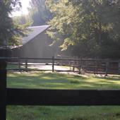 Brushy Creek Guest Ranch