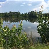 Mccomb Ms  Friendship farm on the Bogue Chitto River
