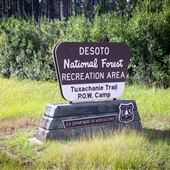 DeSoto National Forest - Tuxachanie Trail & WW2 POW Camp
