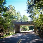 Natchez Trace Bridge over Rice Road