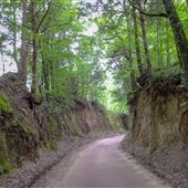 Bell Road