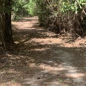 Trails of Diamondhead