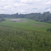 Panther Swamp National Wildlife Refuge