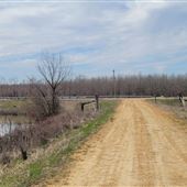Country Road
