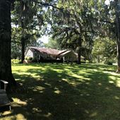 Pickynut Hill Farm