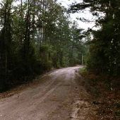 Various Dirt Roads, Paths