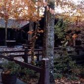 Dunlap Cabin