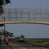 Walking Bridge