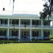 Cedars Plantation