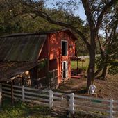 Payneful Acres Farm