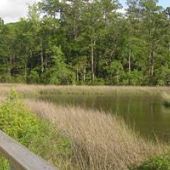 Davis Bayou