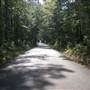 Twelve Oaks Country Road