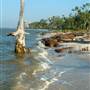 Deer Island