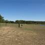 Madison Co. Farm - across from Chapel of the Cross