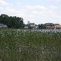 Lakefront Houses - Palisades