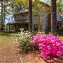 Country Cypress Farmhouse in Summit