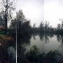 Pond near Tracks