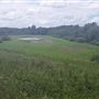 Panther Swamp National Wildlife Refuge