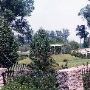 Camellia Gardens