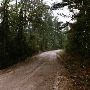 Various Dirt Roads, Paths