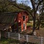 Payneful Acres Farm