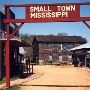 Mississippi Agricultural and Forestry Museum