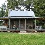 Blue Creek Cabin Bed & Breakfast