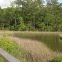 Davis Bayou