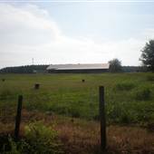Barnes Road farmhouses
