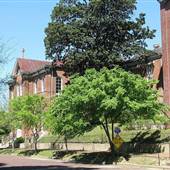 Southern Heritage Cultural Center
