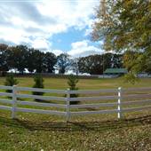 Farm & Barn - Madison Co.