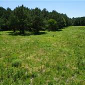 Matthew Horton Property