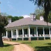 Hillside Plantation