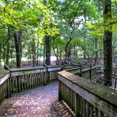 Chautauqua Park Treetop Trail