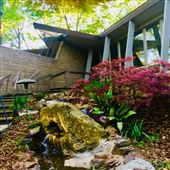 The Falk House