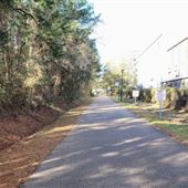 Longleaf Trace