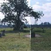 Rural Church and Cemetery