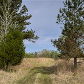 Gray Center - Land