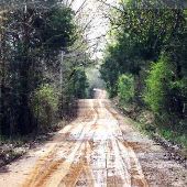 Robert Road