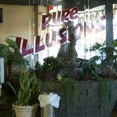 Pure Illusions