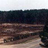 Lumberyard