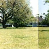 Burn Plantation