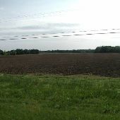 Fields