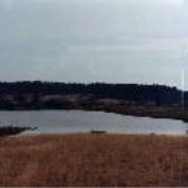 Field and Pond