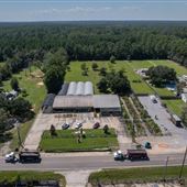 Beatline Nursery