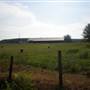 Barnes Road farmhouses
